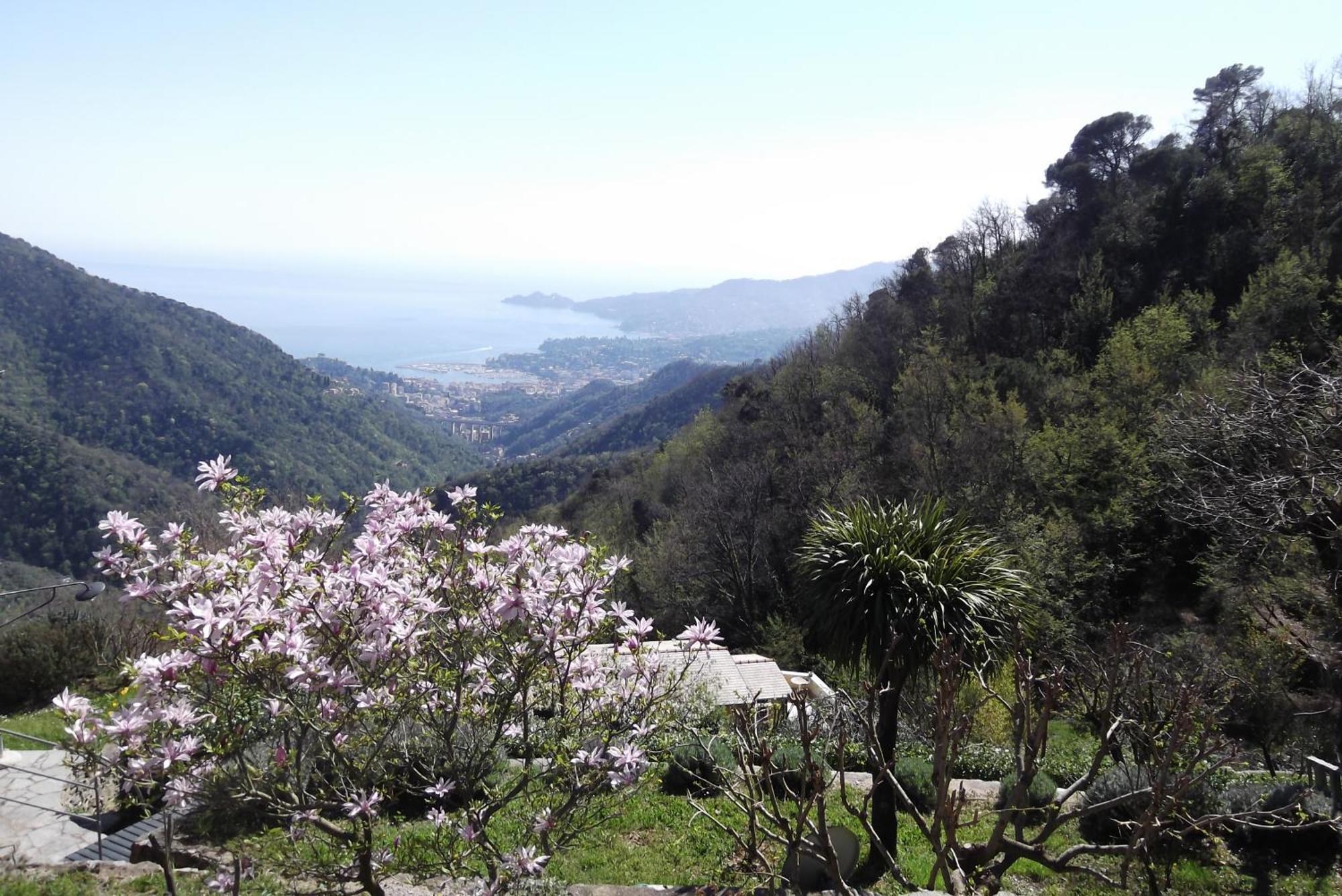 Vista Portofino Leilighet Rapallo Eksteriør bilde