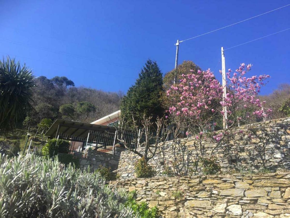 Vista Portofino Leilighet Rapallo Eksteriør bilde