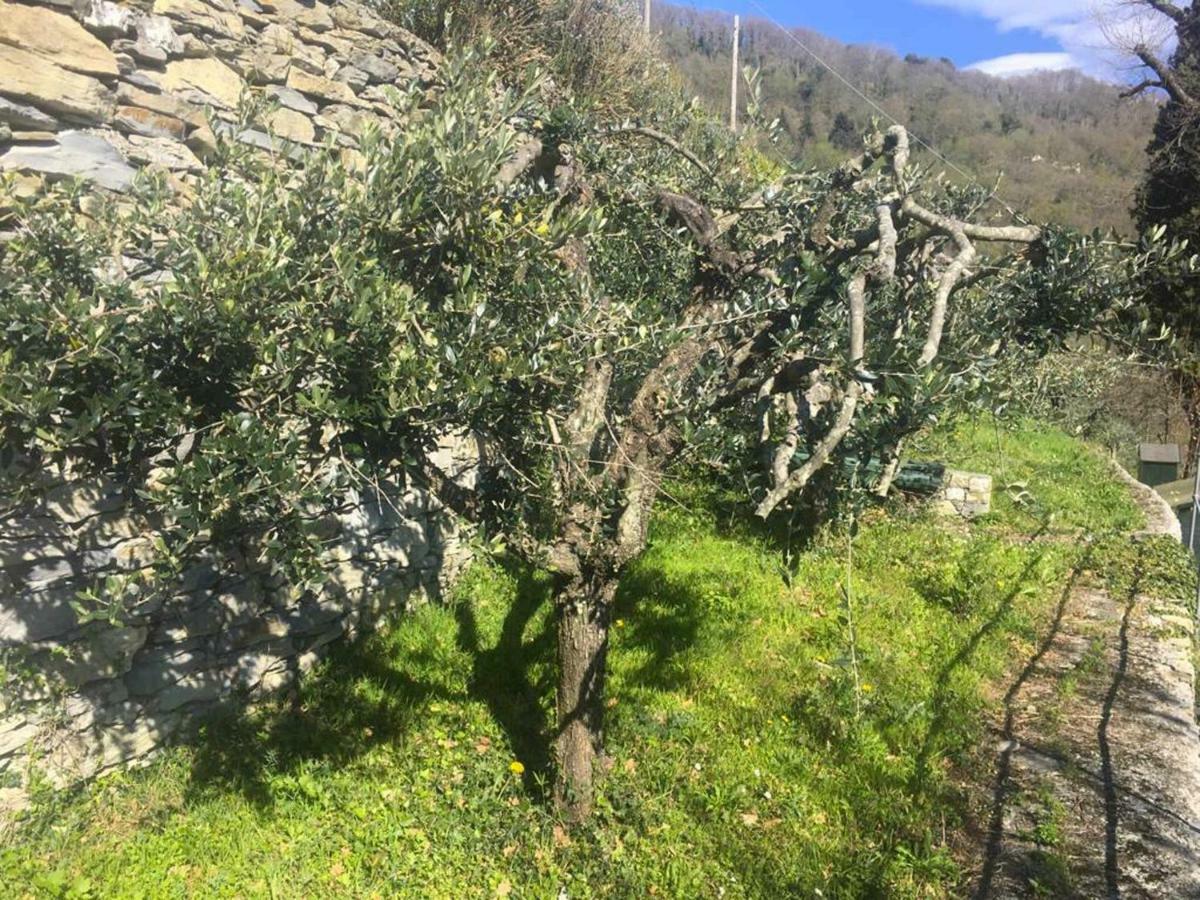 Vista Portofino Leilighet Rapallo Eksteriør bilde