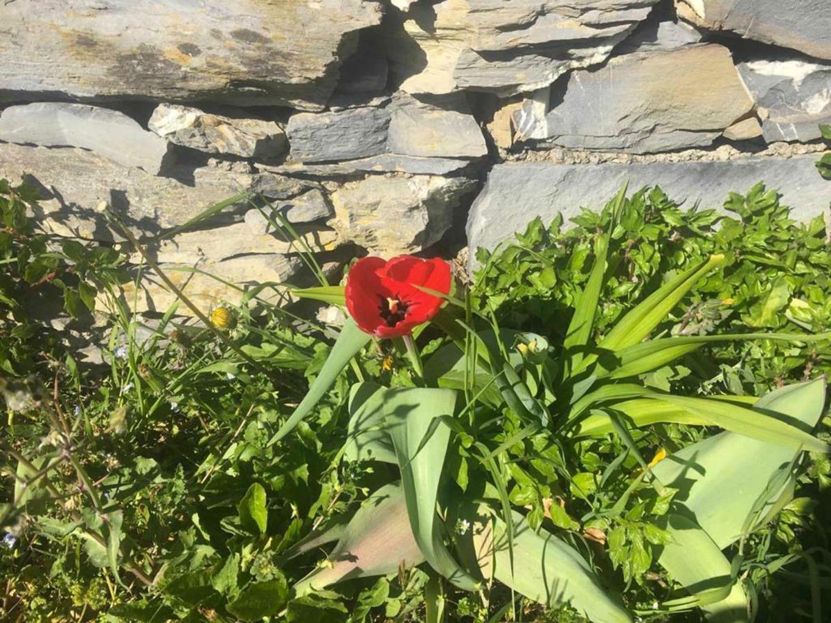 Vista Portofino Leilighet Rapallo Eksteriør bilde